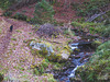 The Dunearn Burn walk - Earl of Moray's estate