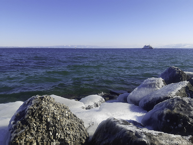 am Bodensee bei Romanshorn - 13. Februar 2021 (© Buelipix)