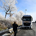 White trees, a lorry from Poland, and an important phone call next to the fence!