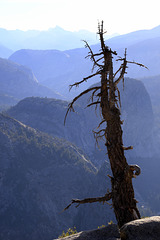 Glacier Point