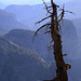 Glacier Point