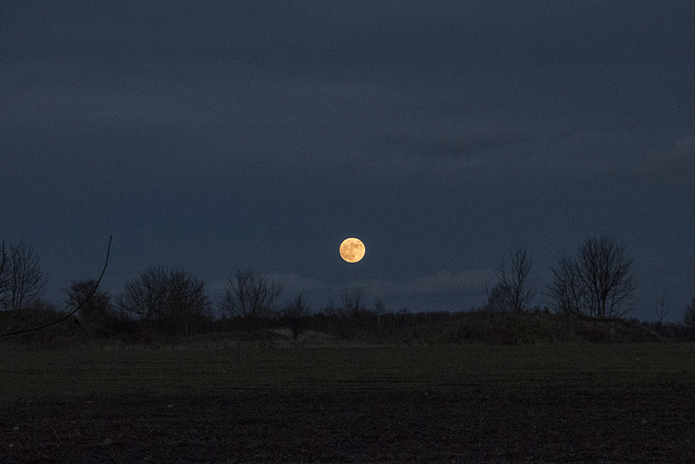 Neujahrsvollmond