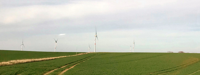 so many wind turbines