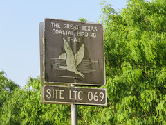 Day 7, SITE LTC 069, South Texas