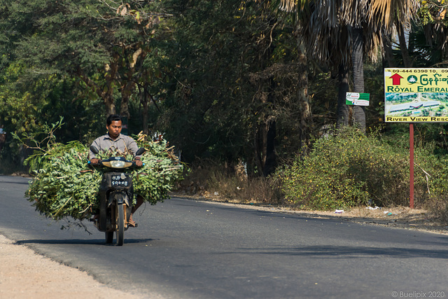 Strassenszenen ... auf der Fahrt von Bagan nach Kalaw (© Buelipix)