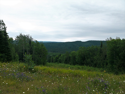 Nature marathonienne