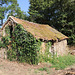 petit cabanon à restaurer