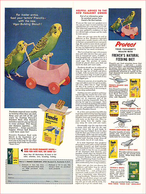 French's Parakeet Food Ad, 1956