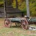 Old wagon in the woods