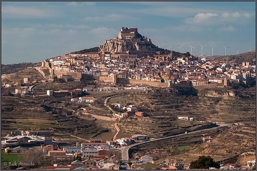 Morella