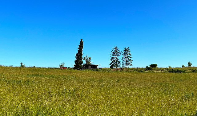 DE - Wachtberg - Frühsommerlandschaft