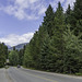 Lorimer Road bei Whistler (© Buelipix)