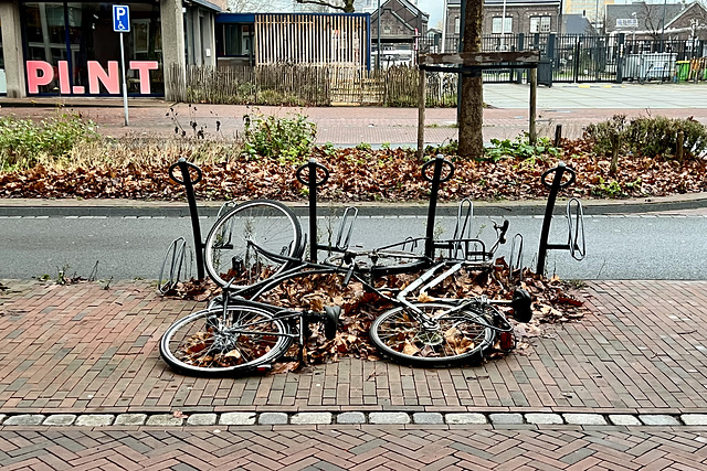 Hibernating bicycles