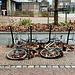 Hibernating bicycles