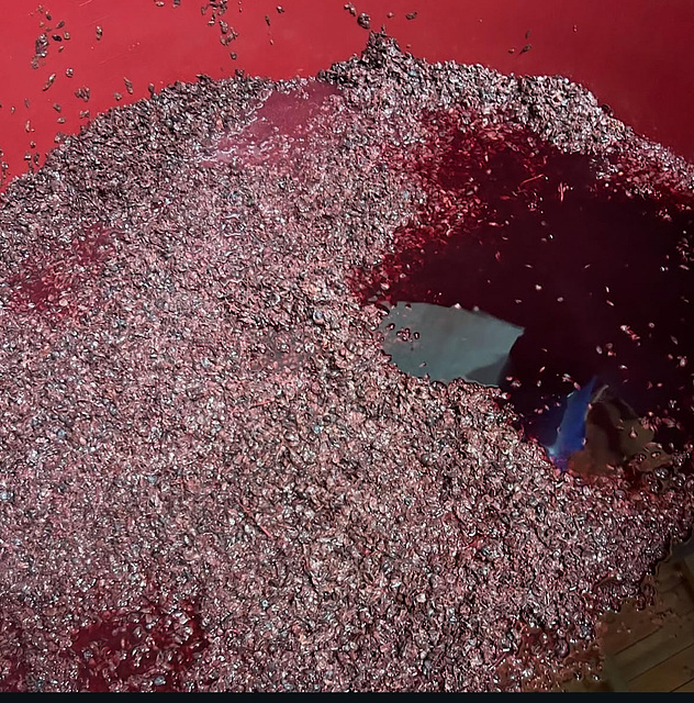 Fermenting must. Fermenting must.