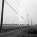 Telephone poles in the fields