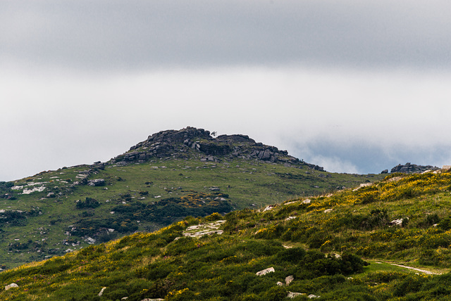 Dartmoor - 20150831