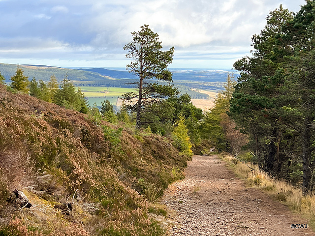 The path from the Fyrish Monument