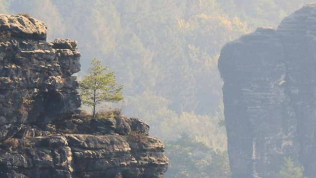 Bastei-Blick ins Elbsandsteingebirge