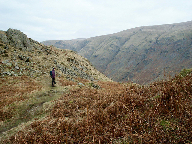 Wren Crag