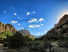 Cave Creek Canyon