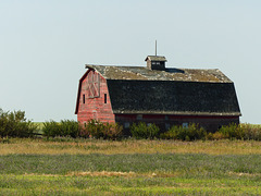 Yesterday's barn