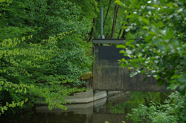 Wald-Wehr