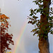 Rainbow in my street... 2
