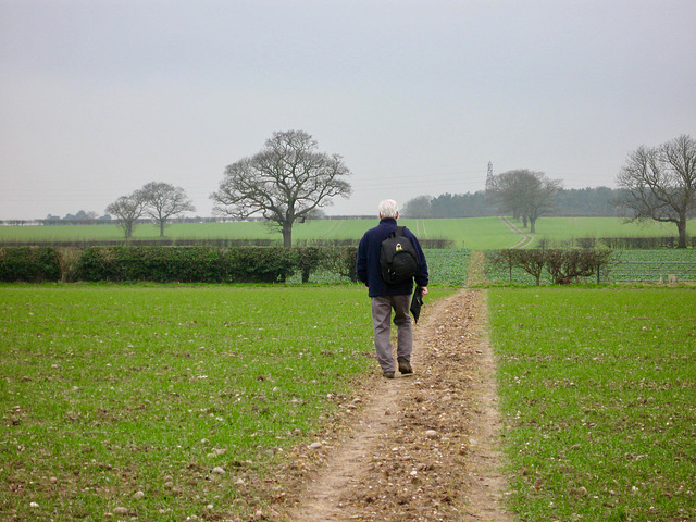 Looking to Clifton Rough