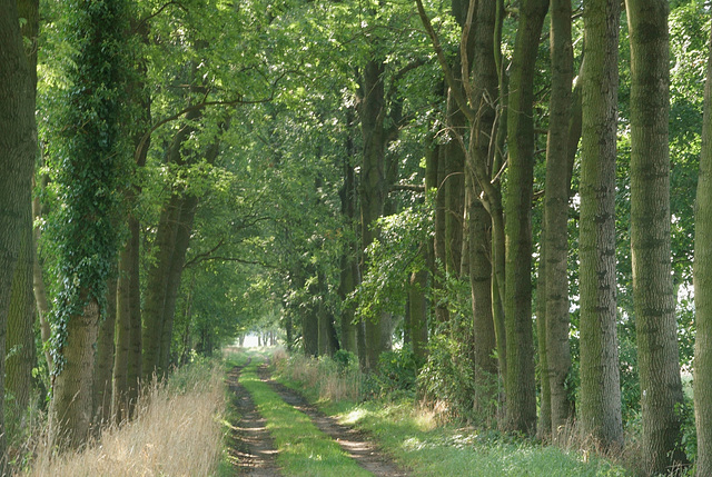 Landweg