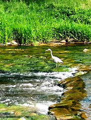 Auf der Jagd