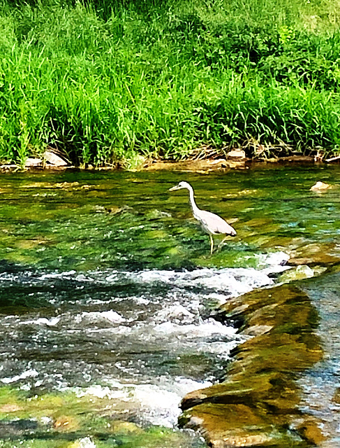 Auf der Jagd