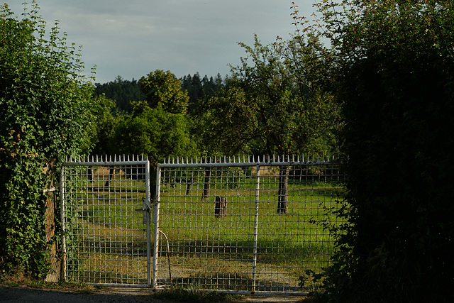 Garten Eden ;-)