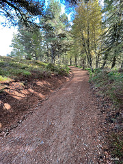 The path from the Fyrish Monument