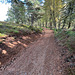 The path from the Fyrish Monument