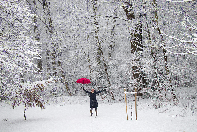 Ein Sprung im Schnee