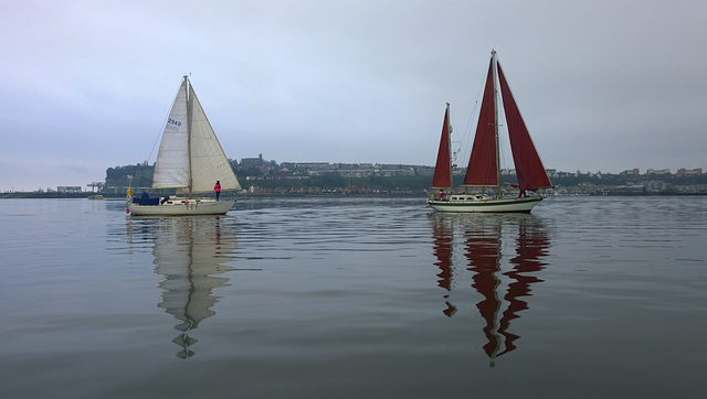 Bay Sailing