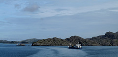 Hjeltefjord