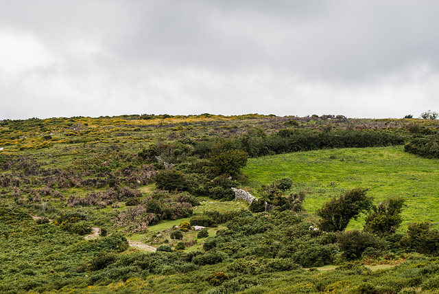 Dartmoor - 20150831