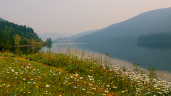 Forest Fire Smoke at Jack Of Clubs Lake, BC