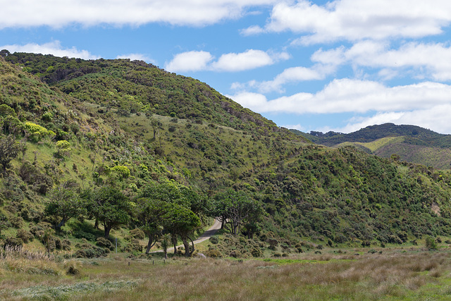 Neuseeland - Wainuiomata