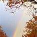 Rainbow in my street... 1