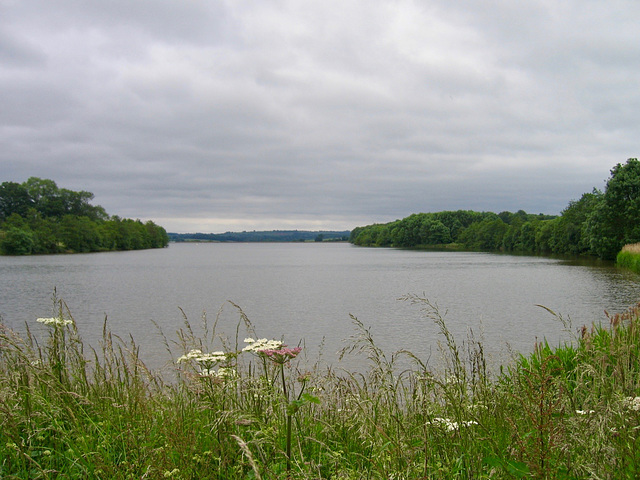 ipernity: Looking South along Chelmarsh Reservoir - by Pedrocut