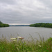 Looking South along Chelmarsh Reservoir