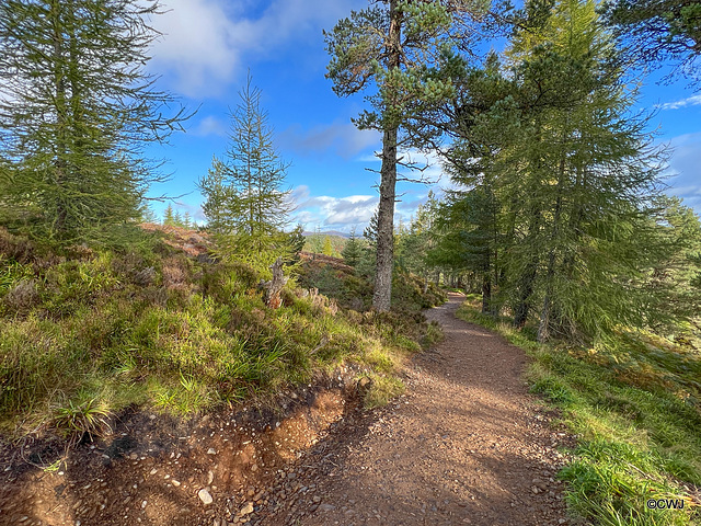 The path from the Fyrish Monument