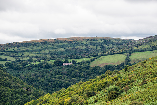 Dartmoor - 20150831