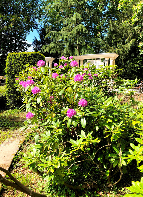 Farbenpracht im Kurpark