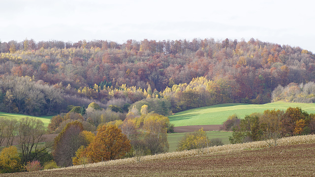 Blick zum Krücker im Sonenschein