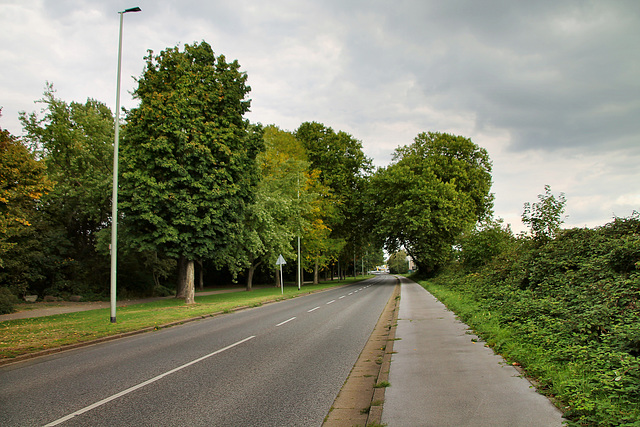 Wiener Straße (Duisburg-Neumühl) / 6.09.2020