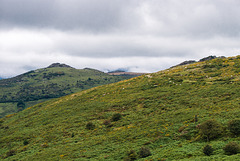 Dartmoor - 20150831